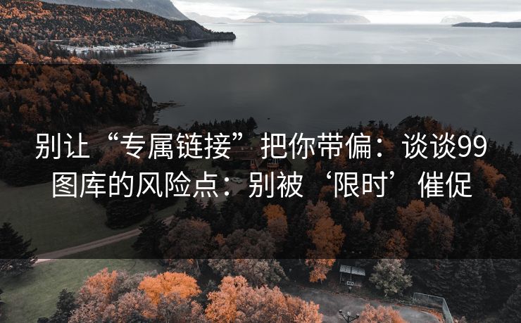别让“专属链接”把你带偏：谈谈99图库的风险点：别被‘限时’催促