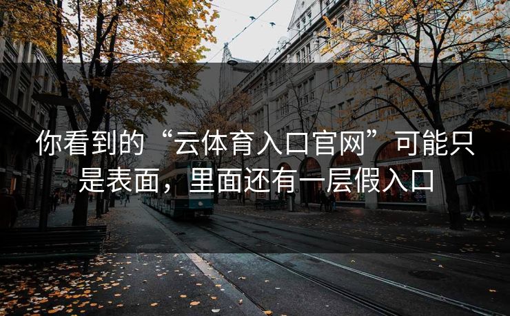 你看到的“云体育入口官网”可能只是表面，里面还有一层假入口