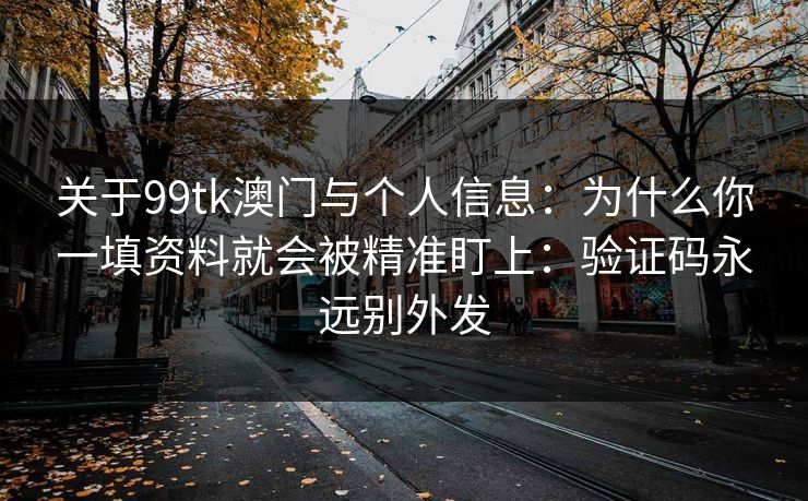 关于99tk澳门与个人信息：为什么你一填资料就会被精准盯上：验证码永远别外发